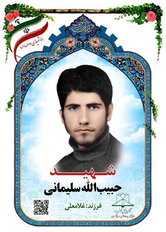 حبیب الله سلیمانی