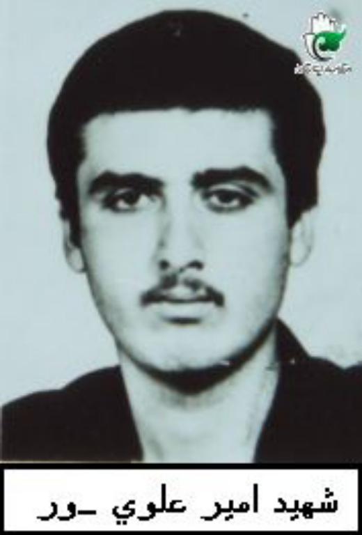 امیر علوی پور