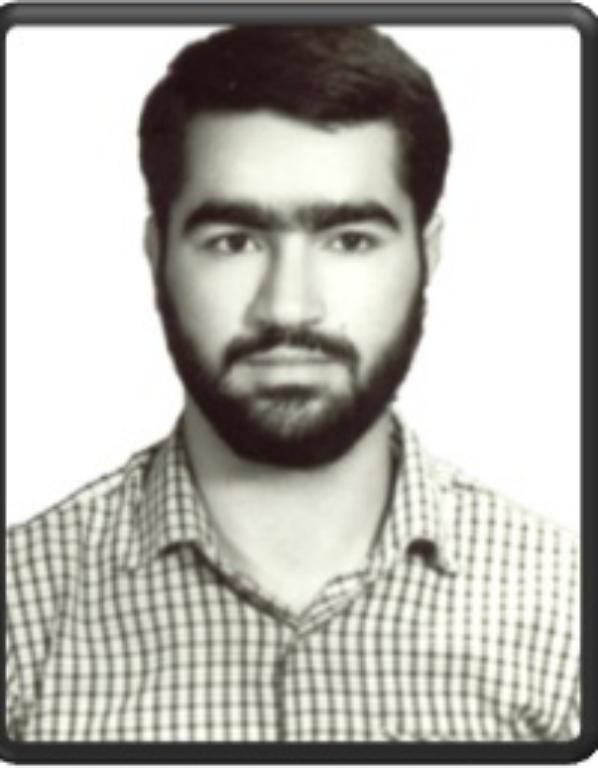 سید محمد ناصر علوی