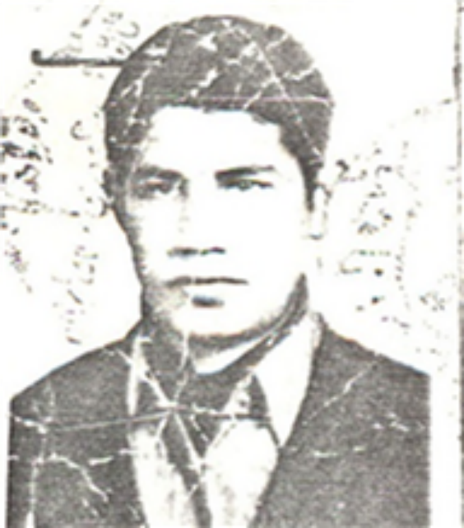 سید حمزه عنایتی