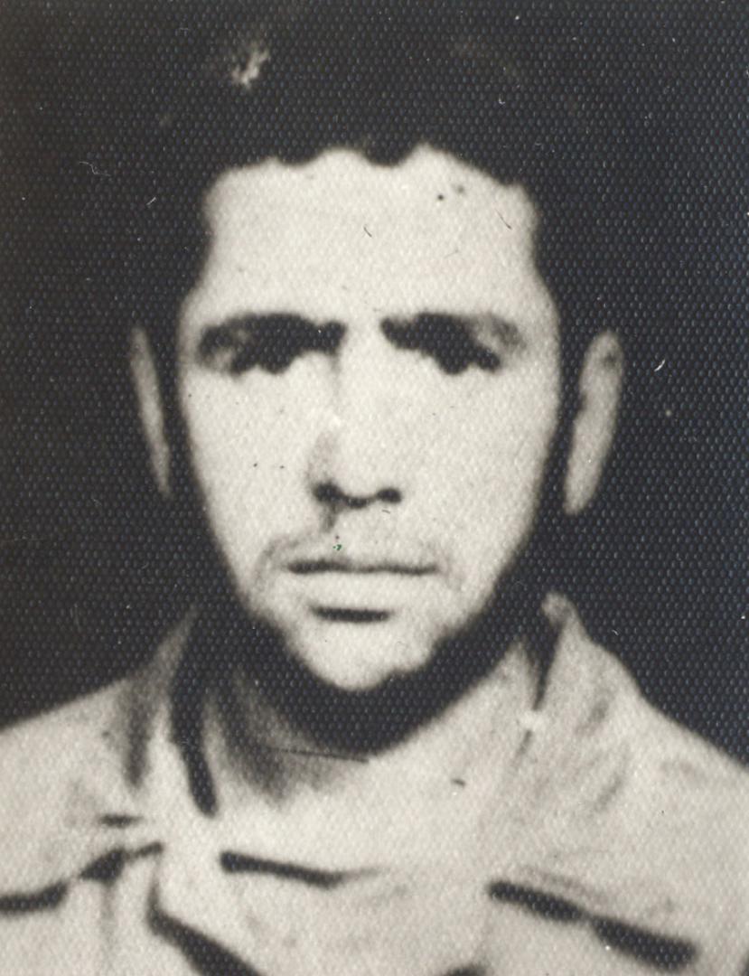 محمود یارمحمدی