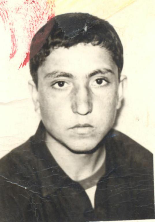 علی میرگلوبیات