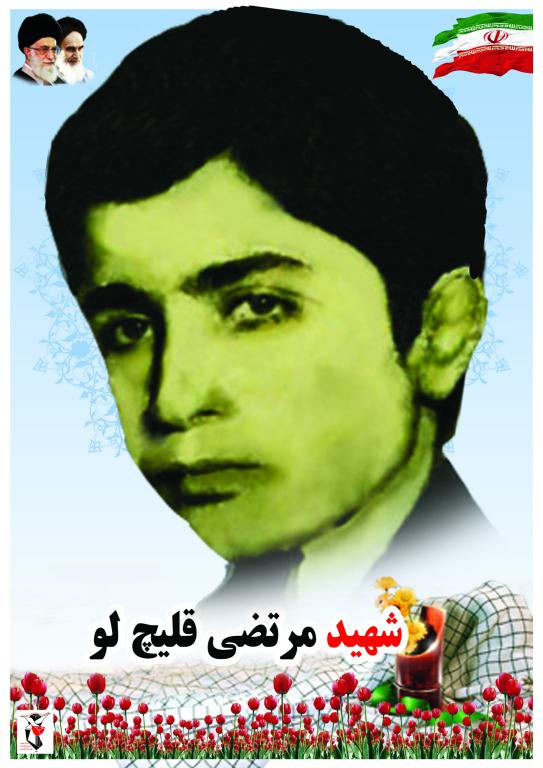 مرتضی قلیچ پور