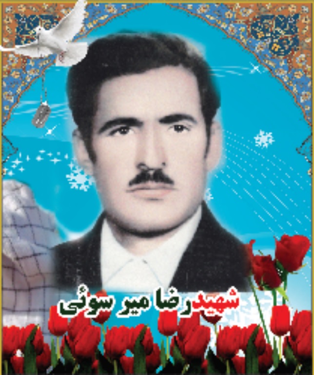 رضا میرسلیمی
