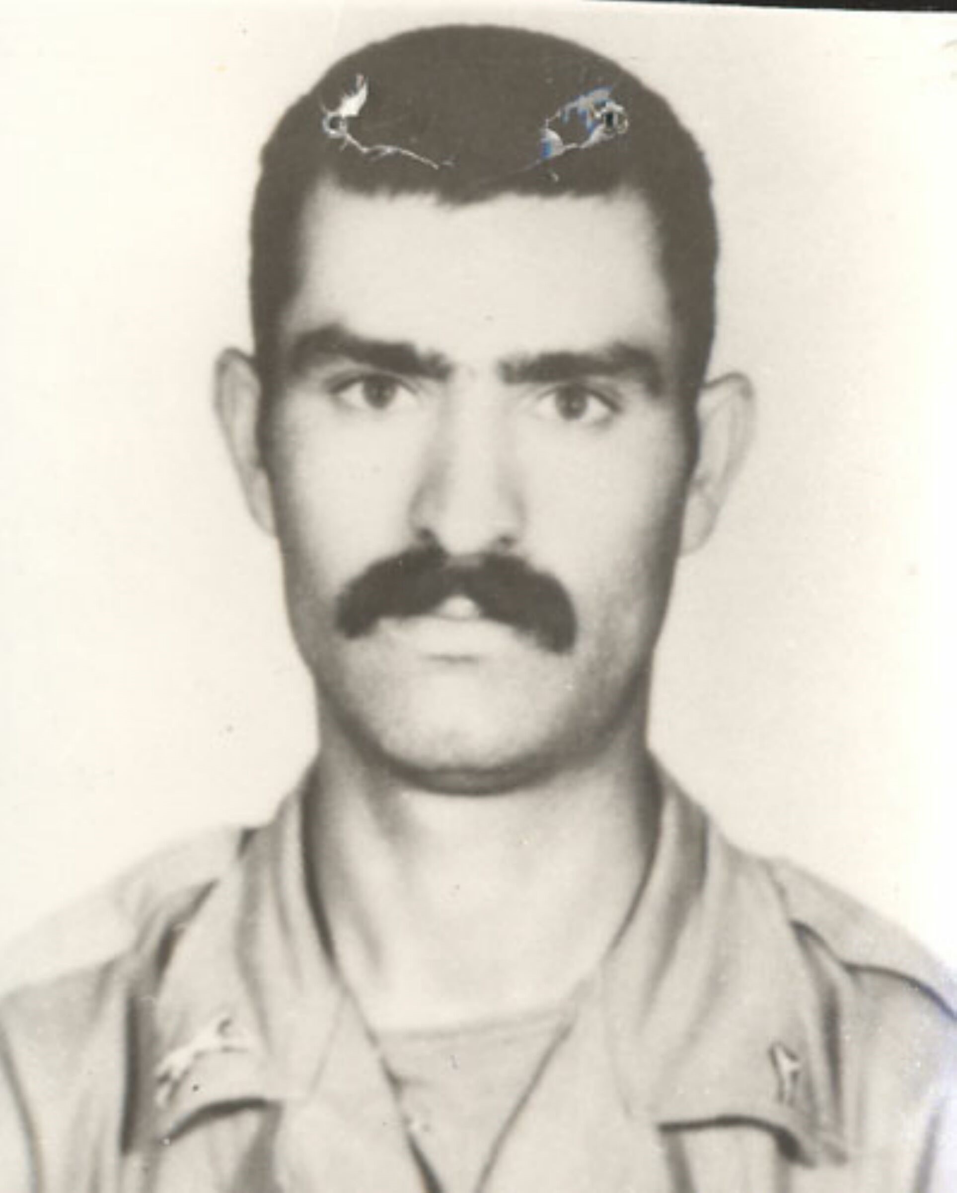 نادر میرزایی