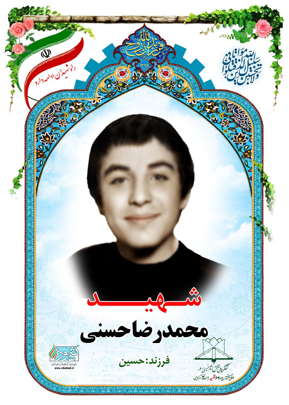 محمدرضا حسنی