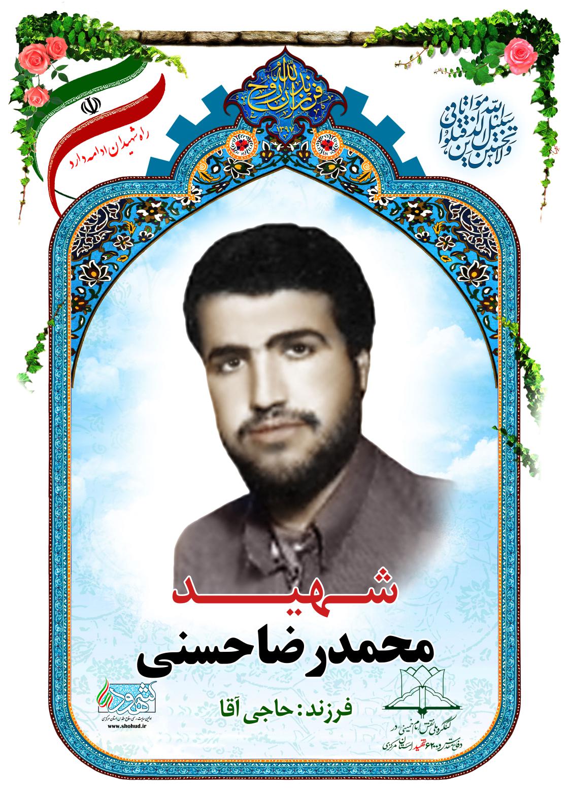  محمدرضا حسنی
