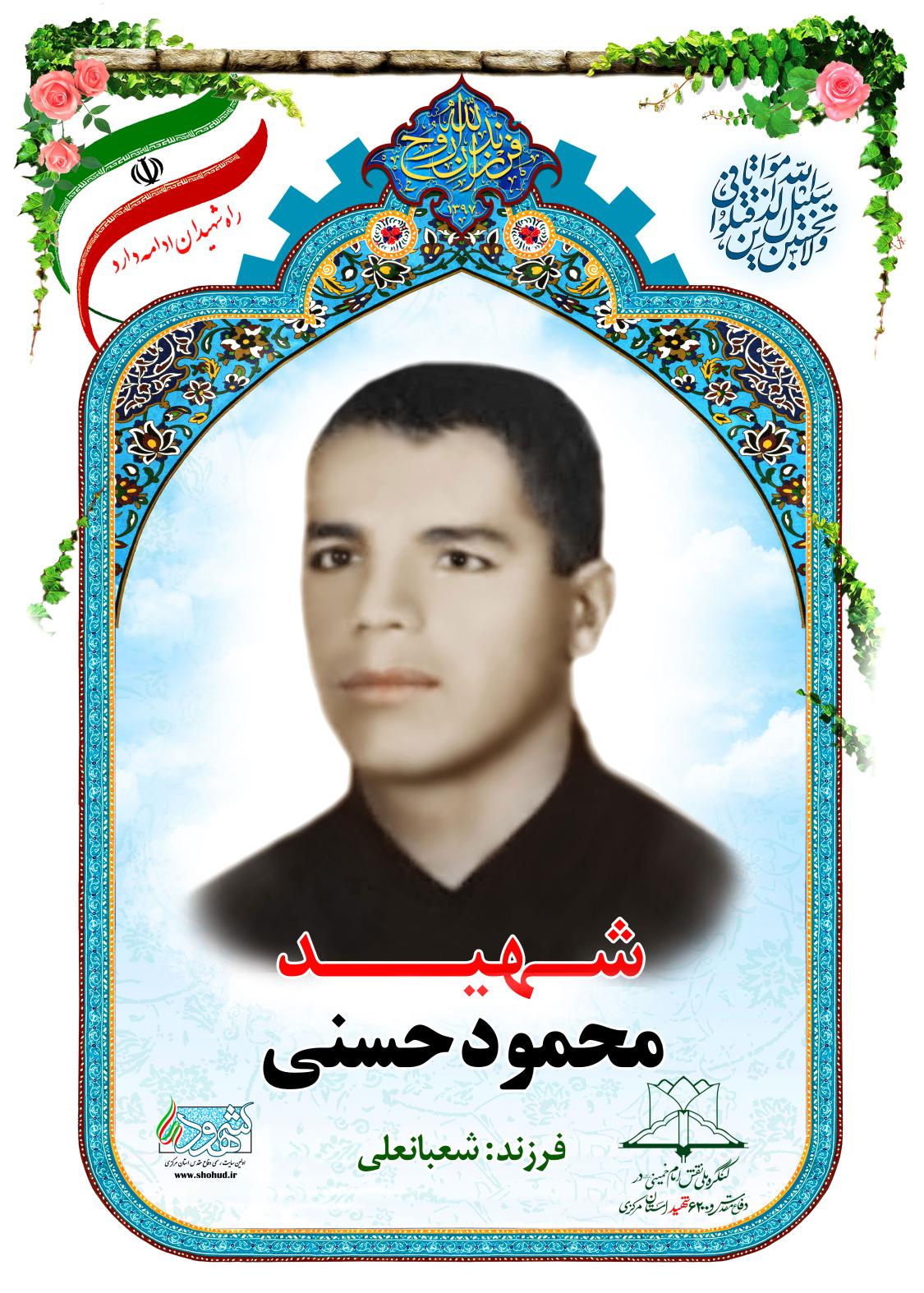محمود حسنی