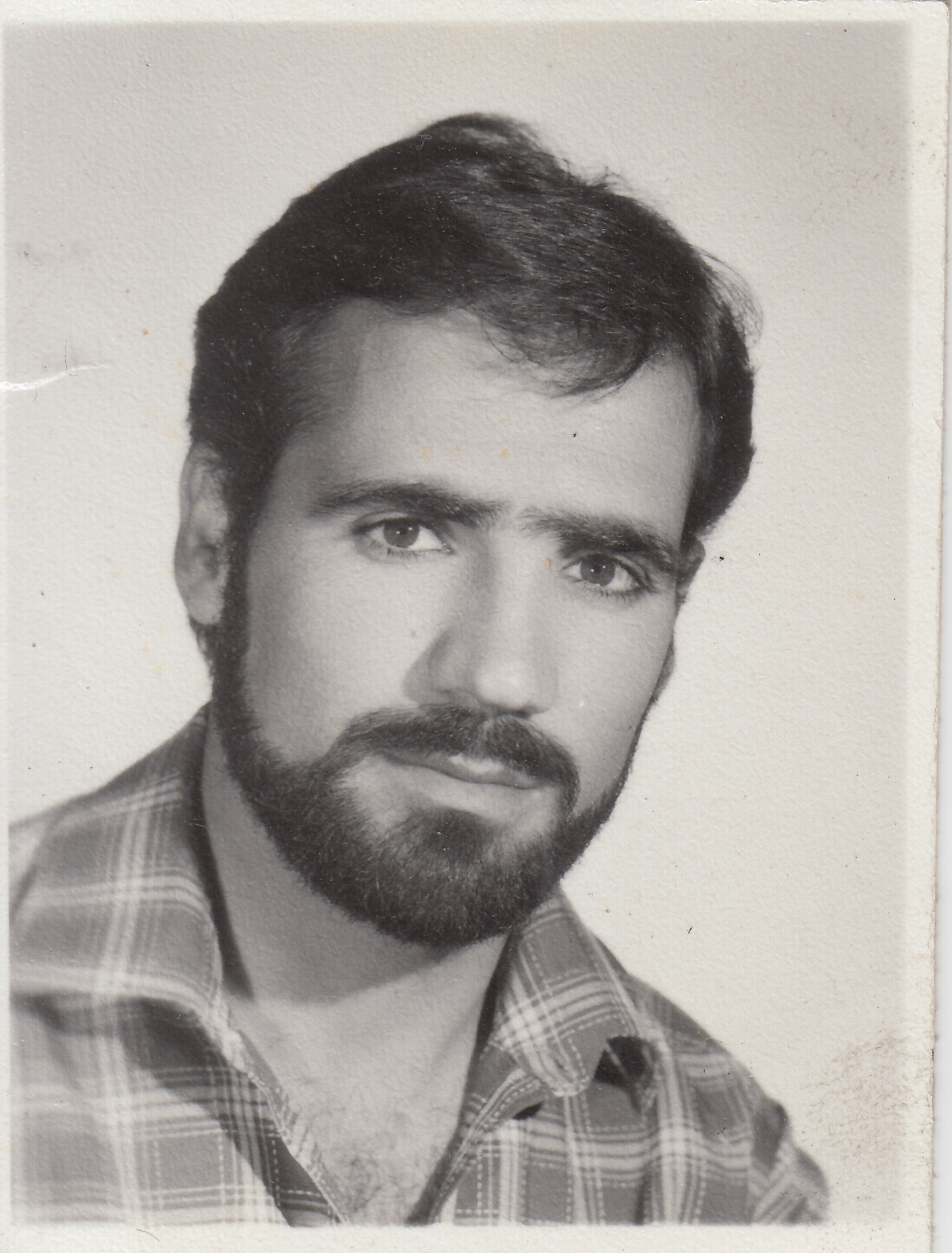 علی مهربان