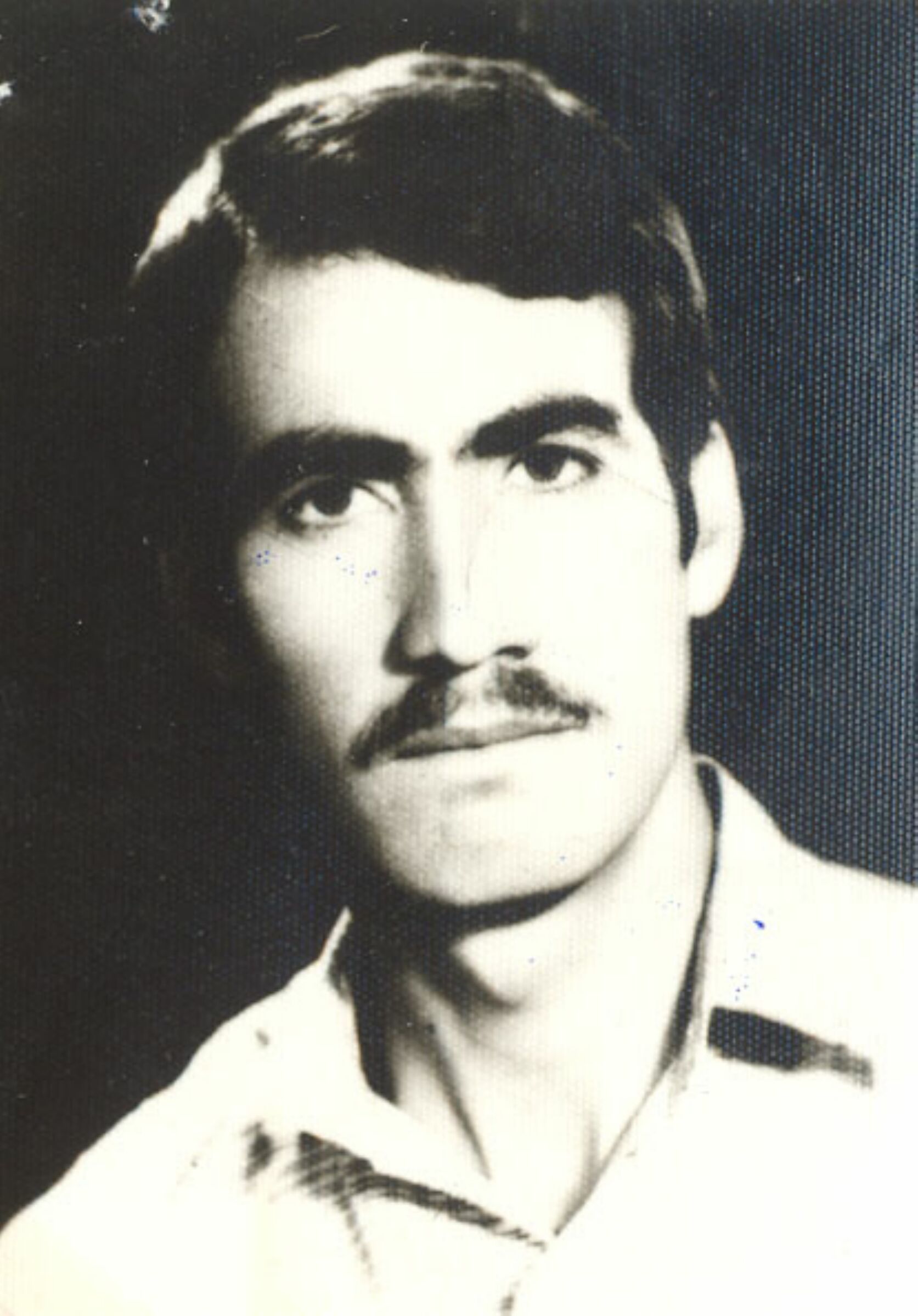 محمدرضا موسوی