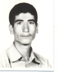 جواد موگویی