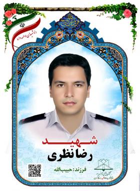 رضا نظری