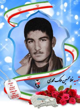 غلامحسین ملک محمدی