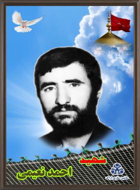 احمد نعیمی