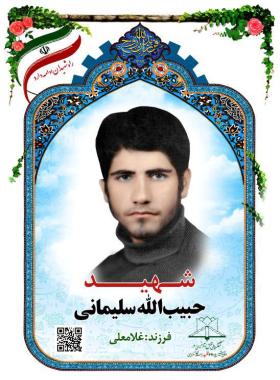 حبیب الله سلیمانی