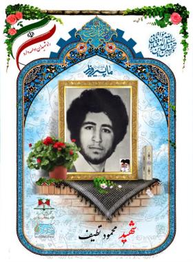 محمود نظیف