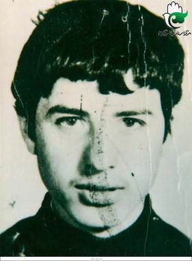 مهدی نشاطی