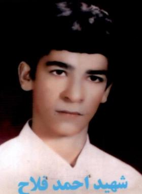 احمد فلاح