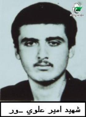 امیر علوی پور