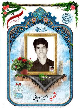 امیر موچانی