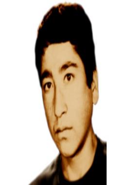 سید علی موسوی
