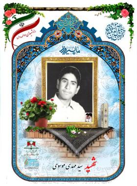 سید مهدی موسوی