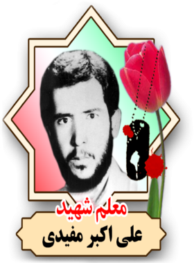 علی اکبر مفیدی