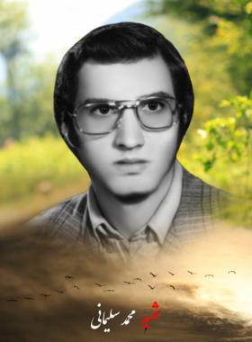 محمد سلیمانی
