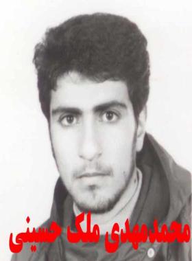 محمدمهدی ملک حسینی