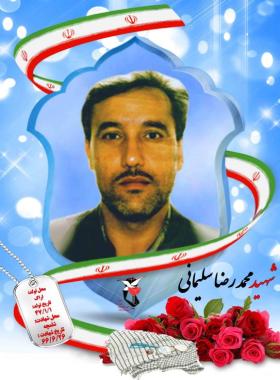 محمدرضا سلیمانی