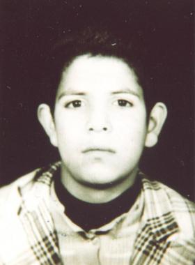 محمدرضا مولایی