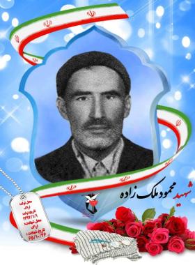 محمود ملک زاده