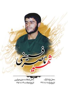 ناصر فیضی