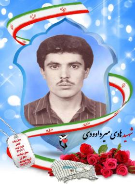 هادی میرداودی