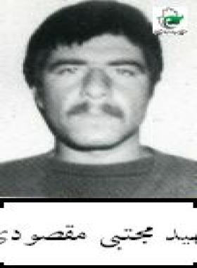 مجتبی مقصودی
