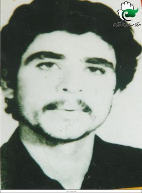 علیرضا کرمی