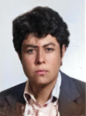 محمد میرزایی