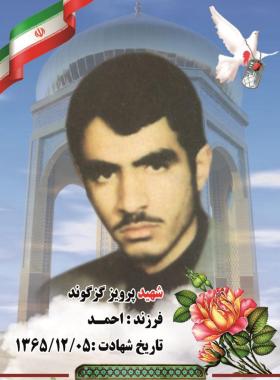 پرویز گرگوند