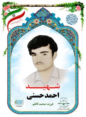 احمد حسنی