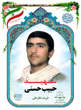  حبیب حسنی
