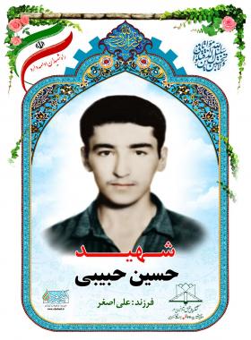 حسین حبیبی