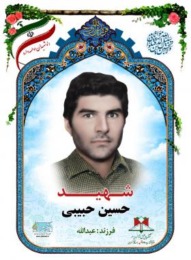 حسین حبیبی