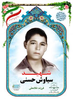 سیاوش حسنی