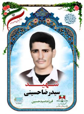 سید رضا حسینی
