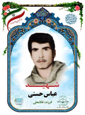 عباس حسنی