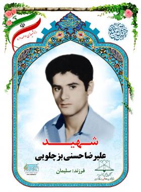 علیرضا حسنی بزچلویی