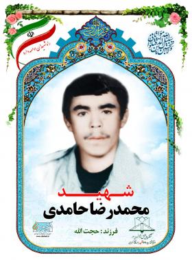 محمدرضا حامدی