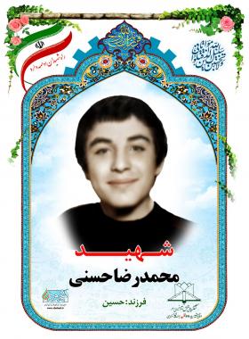 محمدرضا حسنی