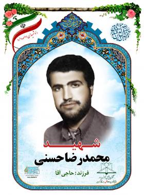  محمدرضا حسنی