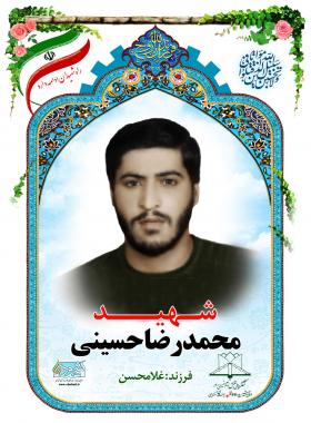 محمدرضا حسینی